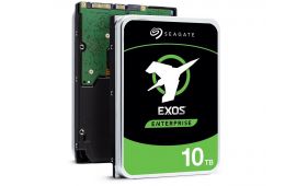 Жорсткий диск Seagate 10TB 7200rpm hdd Sata 6GB/S/256MB (ST10000NM001G)