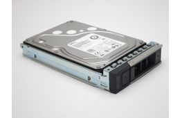 Жорсткий диск Dell 1TB 7.2K SATA 6Gbps 3.5 "G13 (400-ASMG)