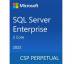 ПО для сервера Microsoft SQL Server 2022 Enterprise Core — 2 Core License Pack Commer (DG7GMGF0M7XV_0003)