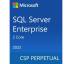 ПО для сервера Microsoft SQL Server 2022 Enterprise — 2 Core License Pack — 1 year Subscri (DG7GMGF0M7XV_0002_P1Y_A)