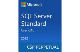 ПО Microsoft SQL Server 2022 - 1 User CAL (DG7GMGF0MF3T_0002)
