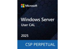ПЗ для сервера Microsoft Windows Server 2025 - 1 User CAL Perpetual, Commercial, OneTime (DG7GMGF0PWHT_0002)