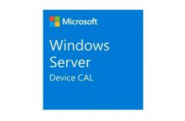 ПЗ для сервера Microsoft Windows Server 2025 CAL - 1 Device CAL - 3 year Subscription, Commercial, Triennial (DG7GMGF0PWHT_0001_P3Y_T)