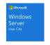 ПО для сервера Microsoft Windows Server 2025 CAL — 1 User CAL — 1 year Subscription, Commercial, Annual (DG7GMGF0PWHT_0004_P1Y_A)
