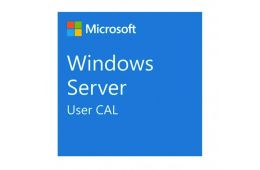 ПЗ для сервера Microsoft Windows Server 2025 CAL - 1 User CAL - 1 year Subscription, Commercial, Annual (DG7GMGF0PWHT_0004_P1Y_A)