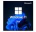 Операционная система Microsoft Win Pro 11 64-bit All Lng PK Lic Online DwnLd NR Конверт (FQC-10572-ESD)