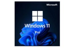 Операційна система Microsoft Win Pro 11 64-bit All Lng PK Lic Online DwnLd NR Конверт (FQC-10572-ESD)