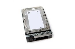 Жорсткий диск Dell [8TB 7.2K RPM SAS 12Gb/s 512e 3.5