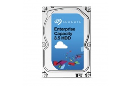 Жорсткий диск Seagate 6TB hdd Sas 7200rpm 12GB/S/256MB (ST6000NM0095)
